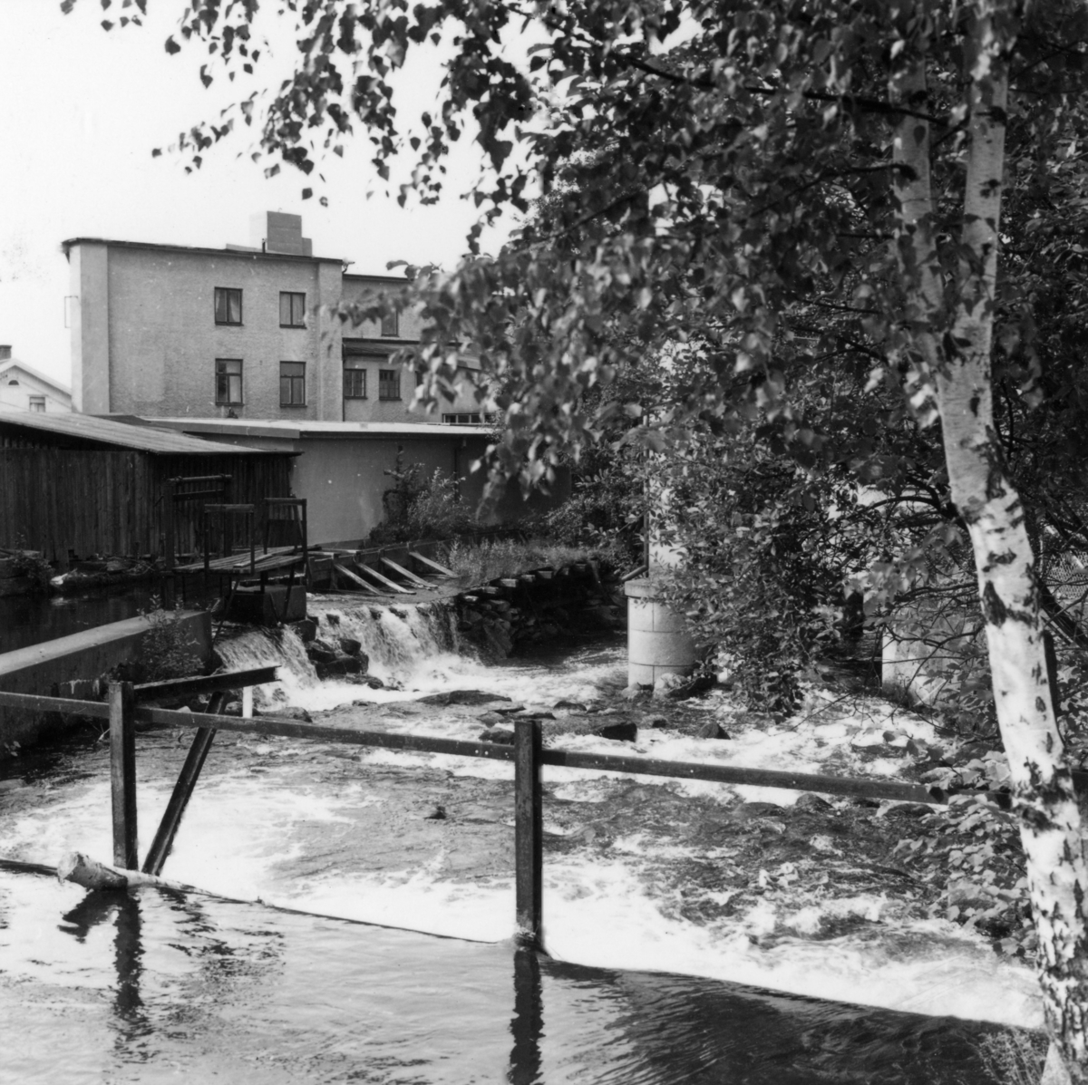 Mölndalsån, uppströms Forsebron, 8/9-1970.