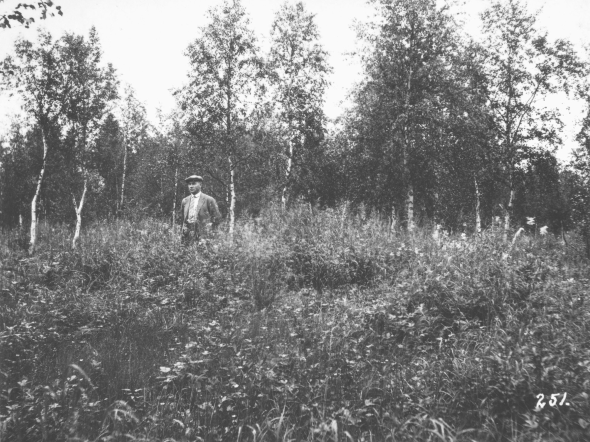 Jordbrukskomiteen på Stortinget foretok en reise til Finnmark i 1935.Kleppe var med, og ga bildene sine fra denne turen til fylkesmann Gabrielsen etter krigen. Her har Kleppe fotografert Skrotnes ved Pasvik. På bildet står en mann ute i vegetasjonen ved Skrotnes.