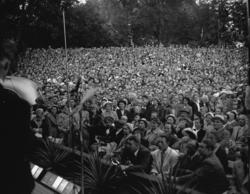 Vardens arkiv. "Sommerfuglen i Brekkeparken" 25.07.1953