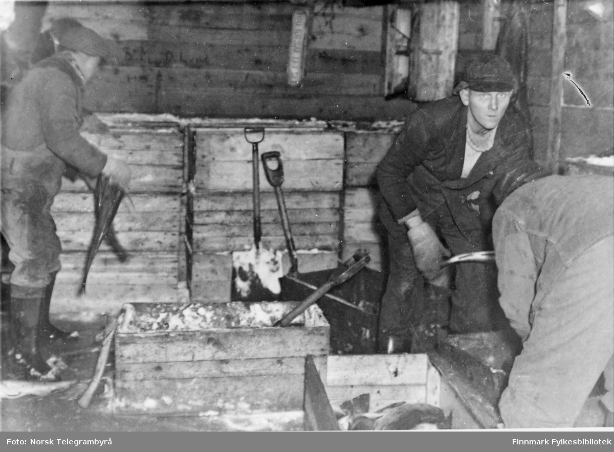 'Fra et provisorisk fiskebruk i Båsfjord i Øst-Finnmark, et av de få som er kommet igang. Høsten 1945.' Vi ser tre menn i arbeid. Fisken ligger i trekasser.