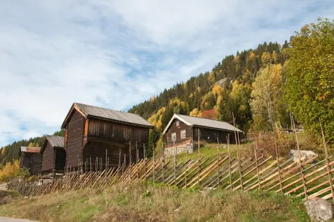 Gol Bygdemuseum, Skaga - bygninger