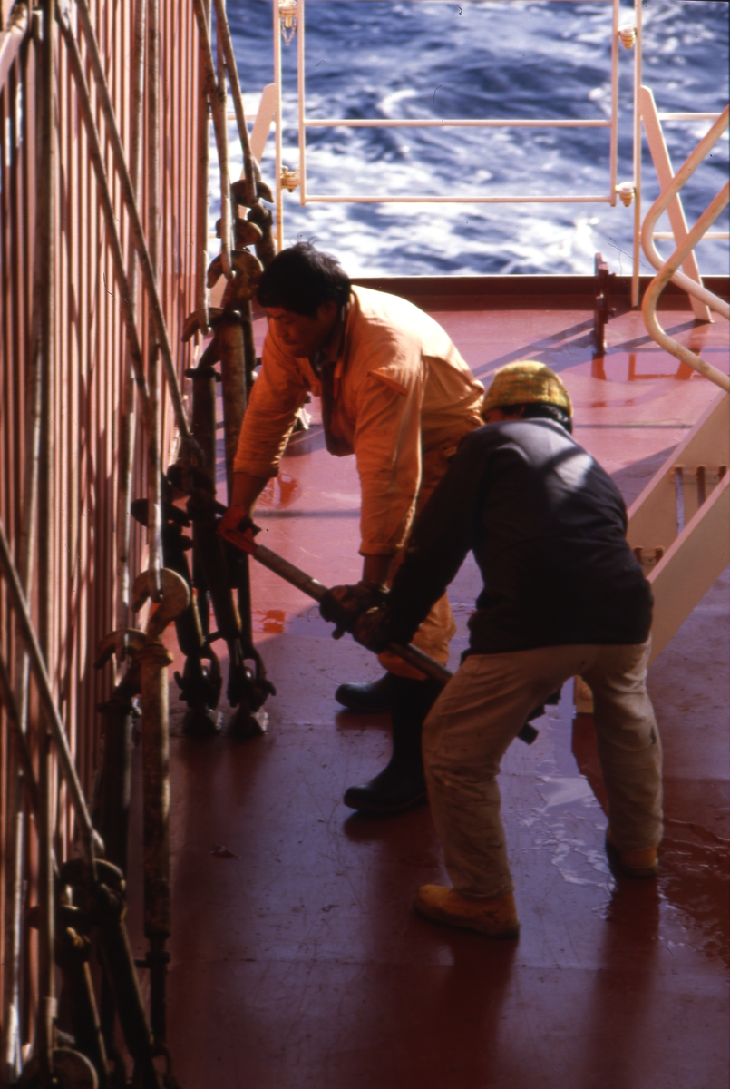 Sikring av containere med vaier og strekkfisk ombord i M/S 'Westwood Jago' (b. 1987, Ishikawajima H. I., Aioi, Japan).