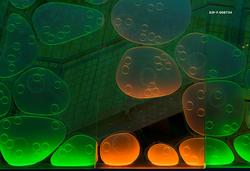 Glassflate som illustrerer bladets anatomi i utstillingen «D