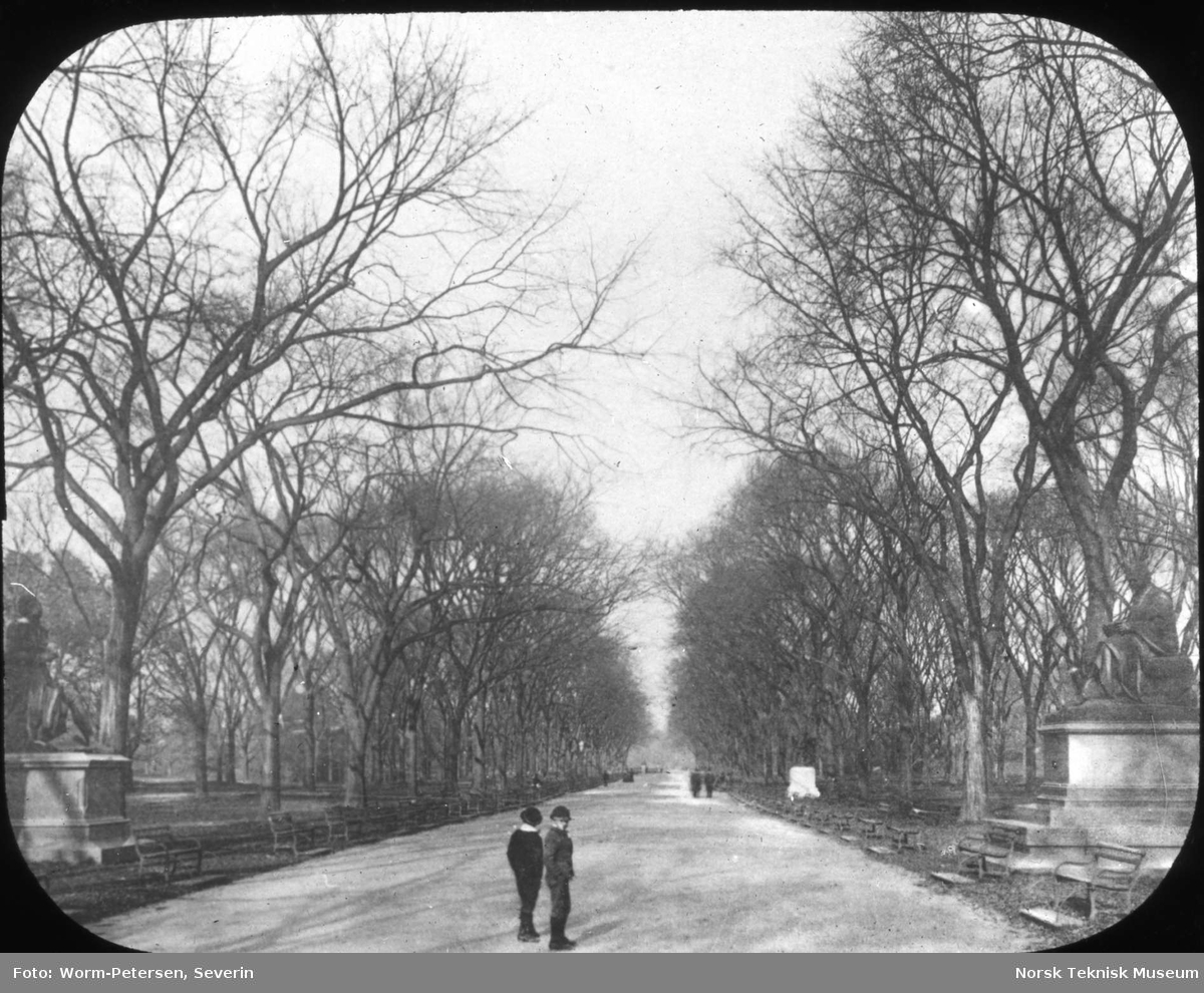 Spasergang i Central Park, New York