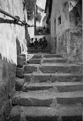 Pesten i Oporto o.l.