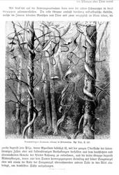 Plantens ernæring o.a. botan.