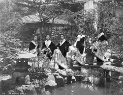 Jenter ved tehus, Japan