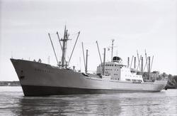 M/S Måkefjell (b.1959, Kieler Howaldtswerke) med Hovedøya i 