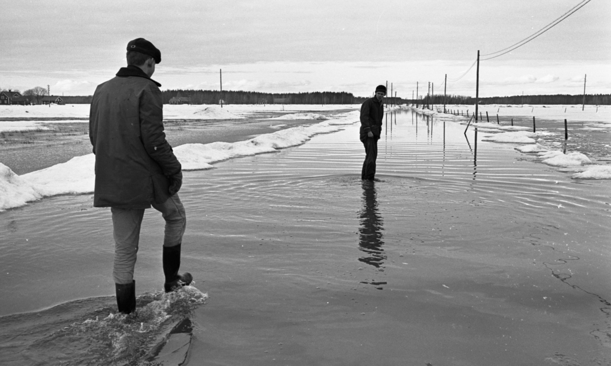 Översvämningen 10 mars 1966

Översvämning bland brevlådor och vägar