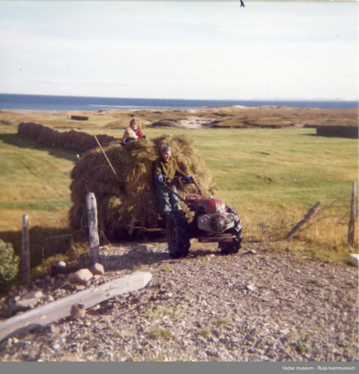 Arnulf Bauna kjører inn et lass høy med tohjulstraktoren sin. Sylvia Bauna og barn på toppen av lasset. Niedijoki i Skallelv, ca 1976.