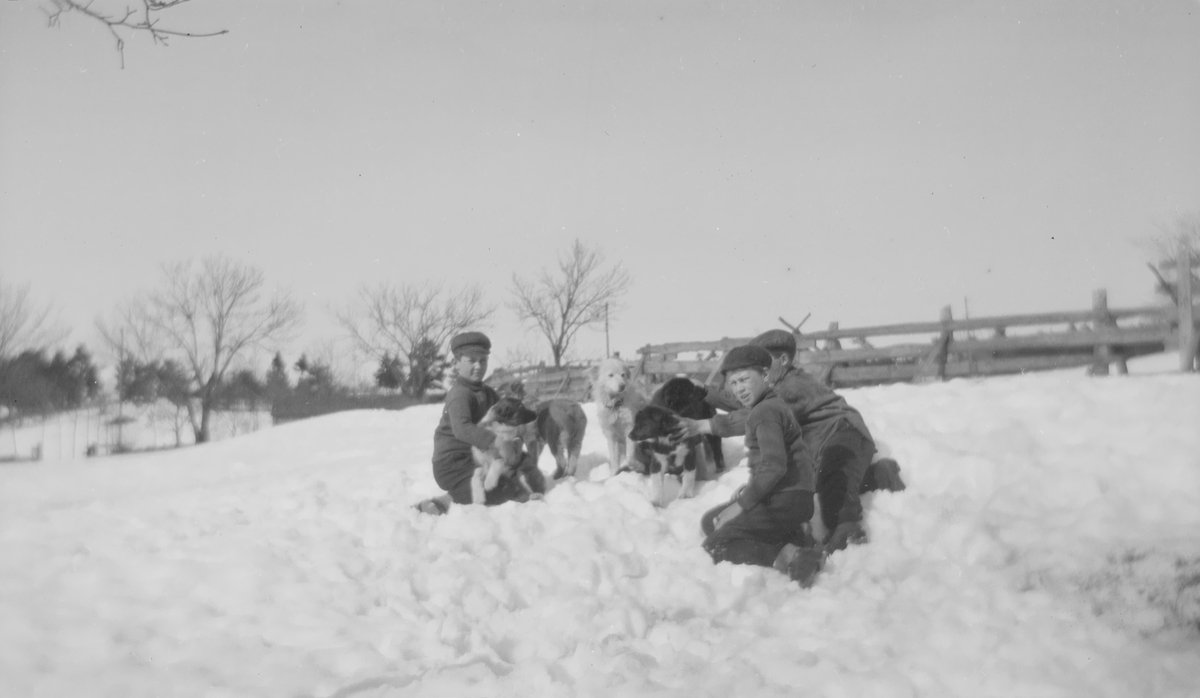 Tre gutter og fem hunder sitter i snøen.