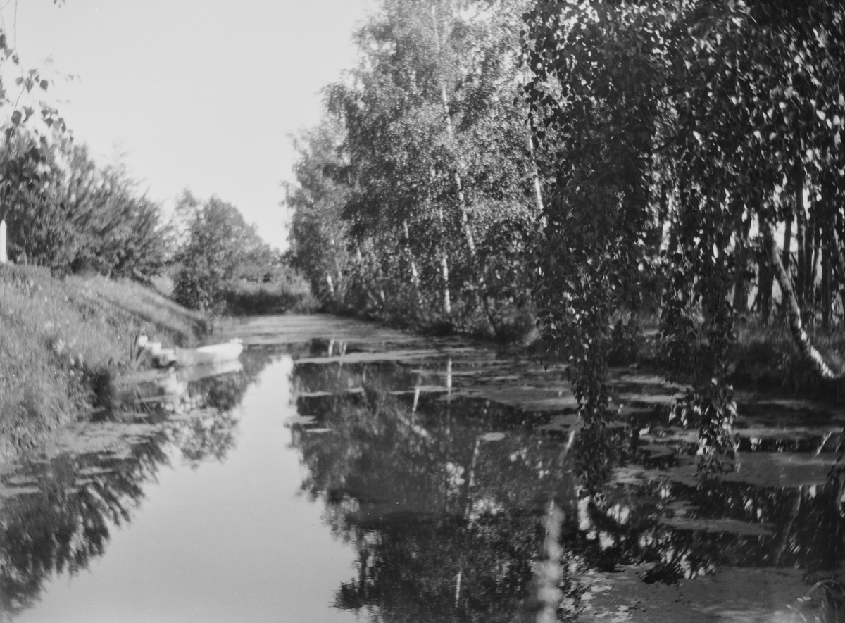 En robåt på "kanalen" med grønske på vannoverflaten, i hageanlegget på Linderud Gård. Bjørk og andre lautrær vokser ved bredden av dammen særlig på den ene siden. Trappen opp til hagen sees såvidt. Det er sommer.