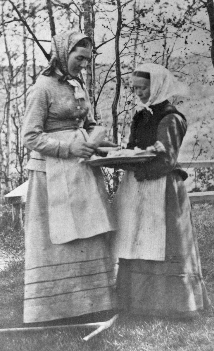 Två kvinnor som ägnar sig åt trädgårdsarbete. Till vänster står fru Dorotea Sundin med en fröstrut i handen. Till höger håller fru Hägglund en bricka med trädgårdsfrön.