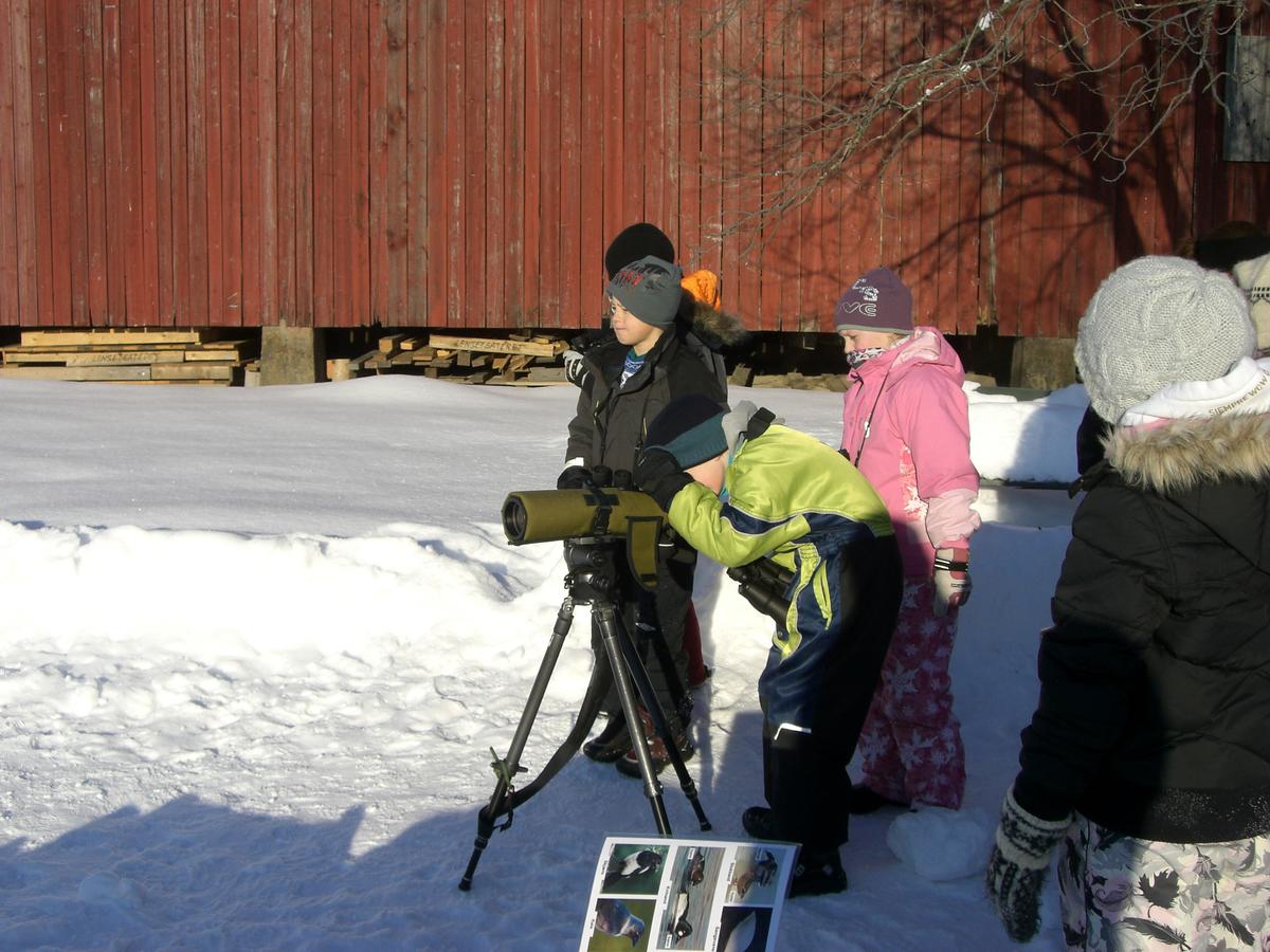 Foto av barn som ser etter fugl i teleskop