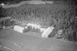 Dovrefjell Hotel, Dombås, Dovre, 15.09.1953, jordbruk, hesji