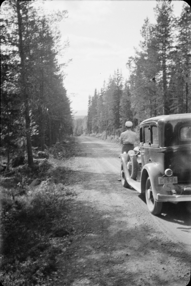 Bil på skogsväg, sannolikt Norge eller Sverige