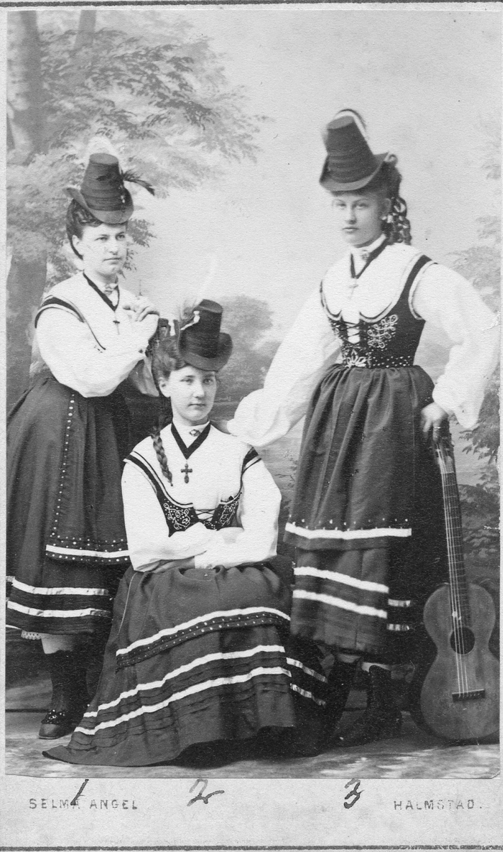 Halmstad. 1. Nytt. Dillberg, 2. Augusta Rudberg. 3. Gerda Wallberg, 3/5 1871.