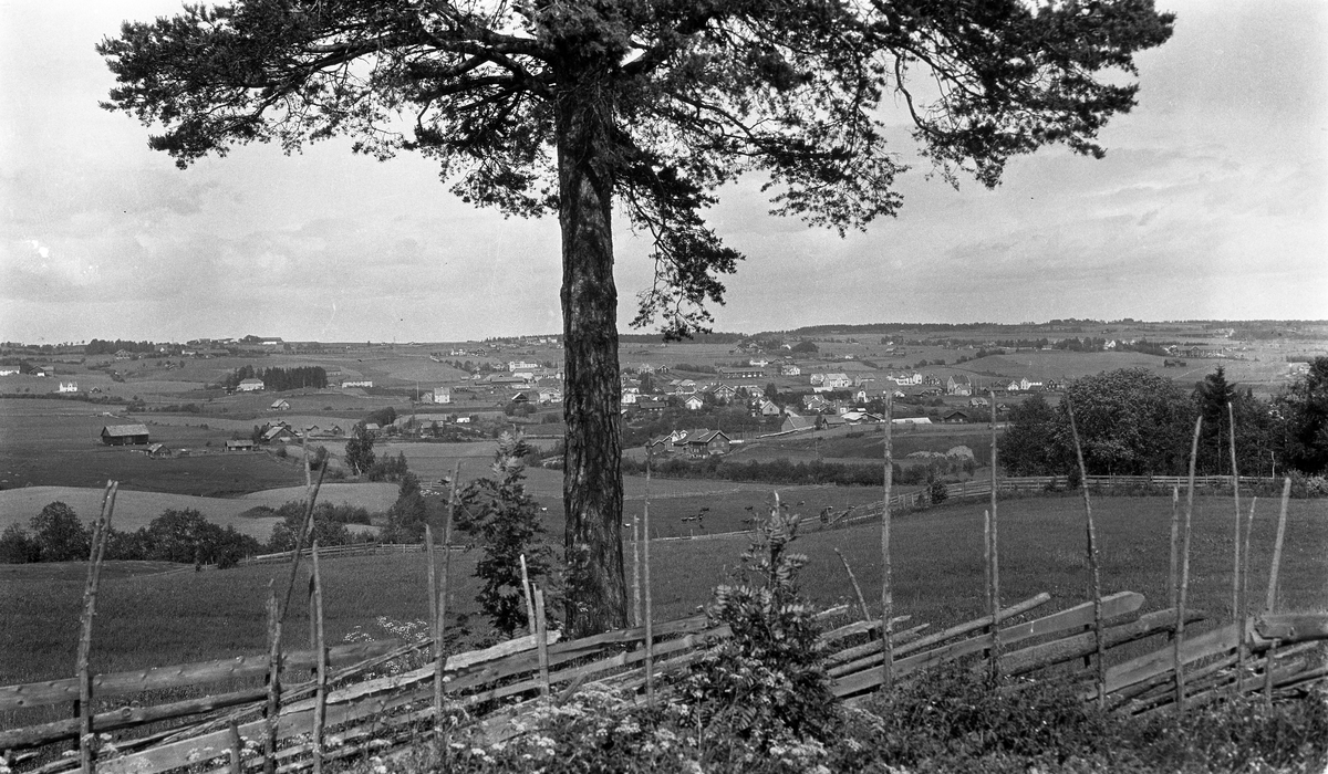 Fire oversiktsbilder over Lena og omegn, sett fra Lensbygda-sida. Ca. 1930.