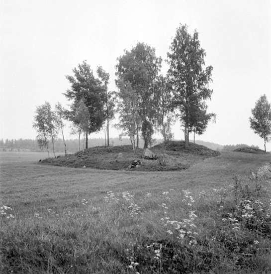 Gravfältet vid Högen (Högan) den 10 juni 1937. Gravfältet med sina högar sett från lite längre håll. Gravfältet ligger omgivet av åkermark.