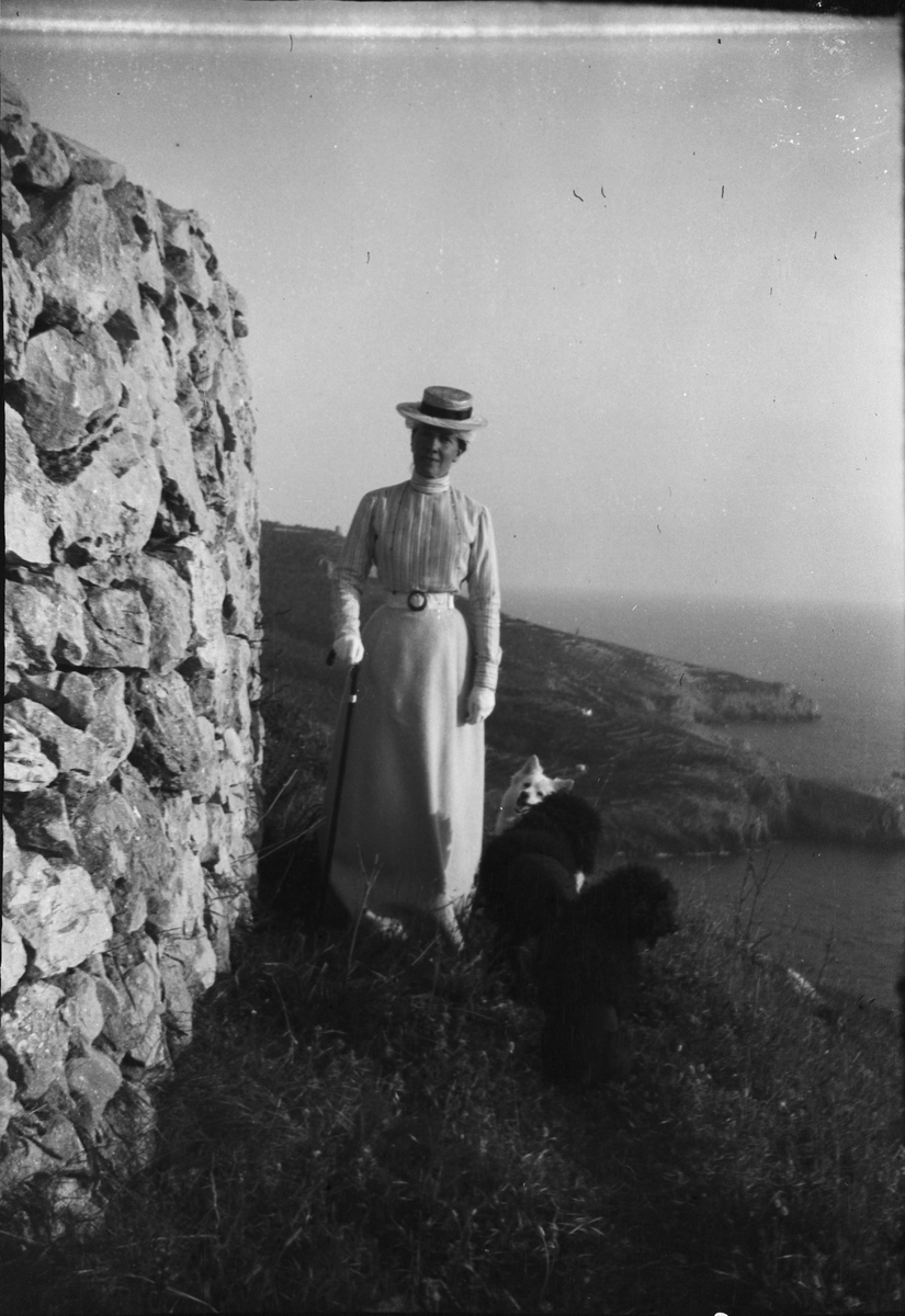 Drottning Victorias bilder.Möjligen hovdam. Troligen Capri.