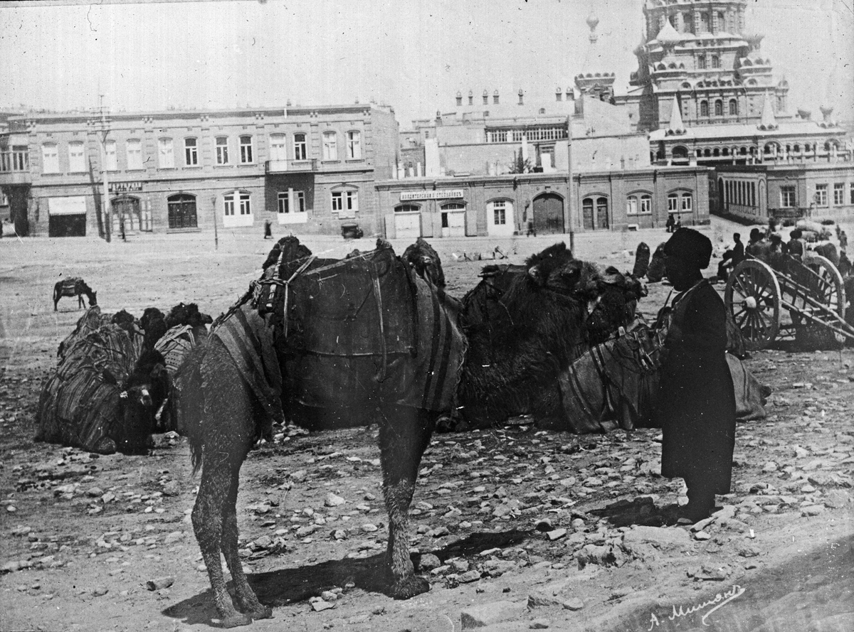 Skioptikonbild från A.W. Cronquists besök i Baku- oljedistrikt 1903.
Man med kamel framför tempel i Baku.