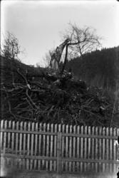 Fotsamling etter Hans Tveito. Ødeleggelser etter uvær.