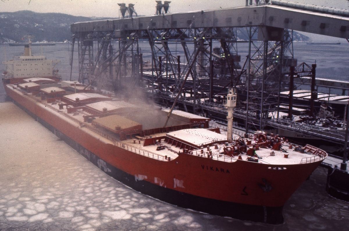 M/S ‘Vikara’ (b.1973, Mitsubishi Heavy Industries Ltd., Kobe, Japan), laster korn på Newfoundland.