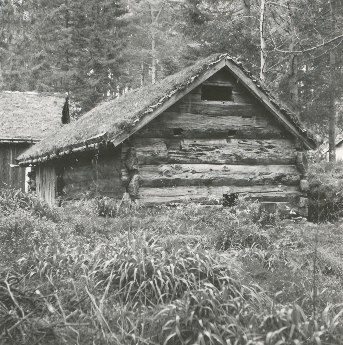 Sommerfjøs, tidligere eldstove, fra Pe- garden, Ytre-Hovden g.nr. 58, b.nr. 10. Nå flyttet til "Ørstatunet" på Sunnmøre Museum