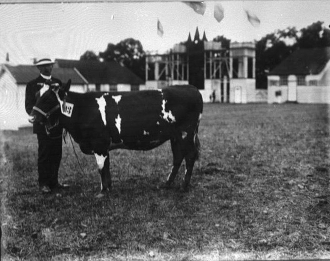 Lantbruksmötet 1910. M. Mohlin, Vara.