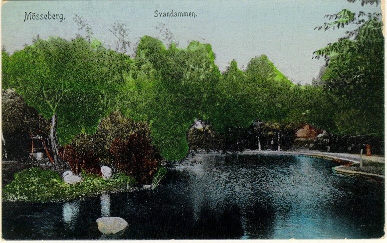 Svandammen (färglagd bild).