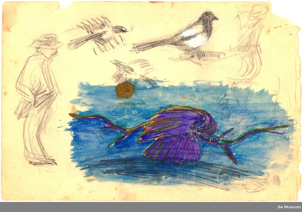 Side 1: Menn og fuglar (skjerer) og blå/lilla akvarell
Side 2: Menn og fuglar (dompappar)