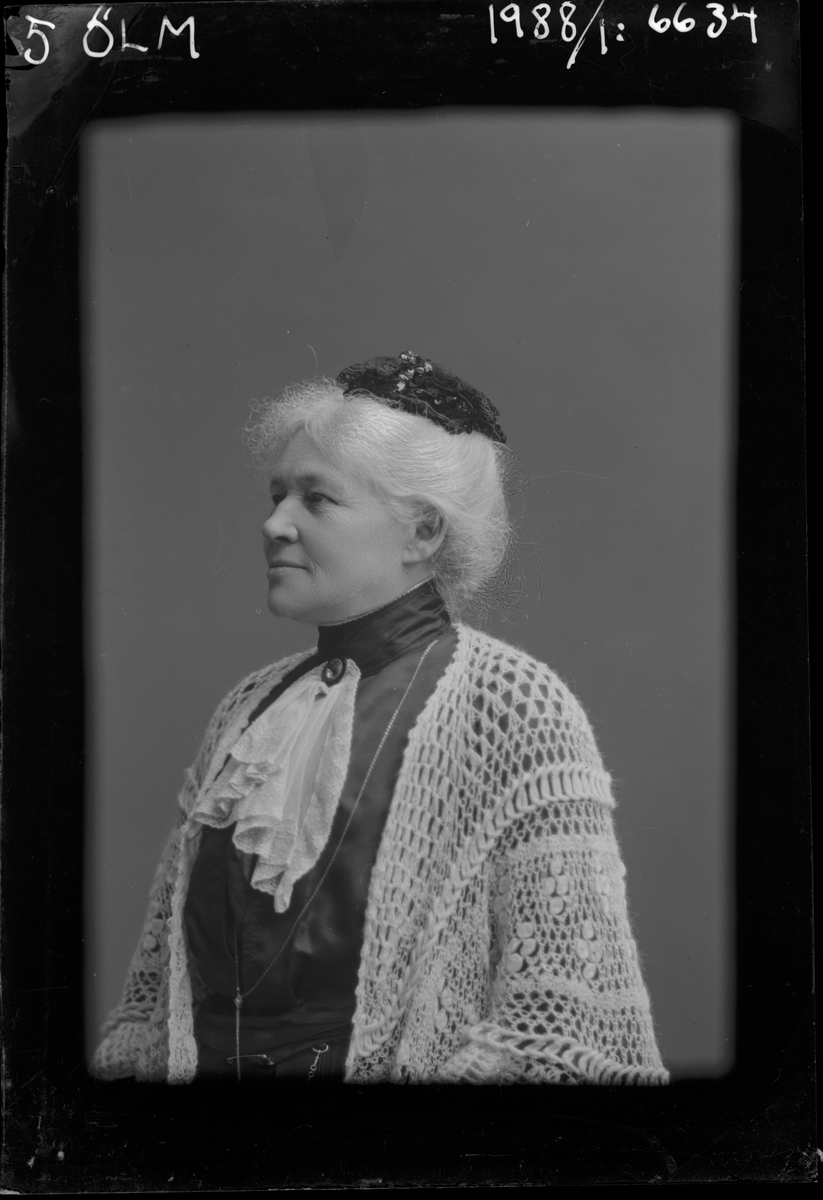 Porträtt från fotografen Maria Teschs ateljé i Linköping. 1913. Beställare: Möller.