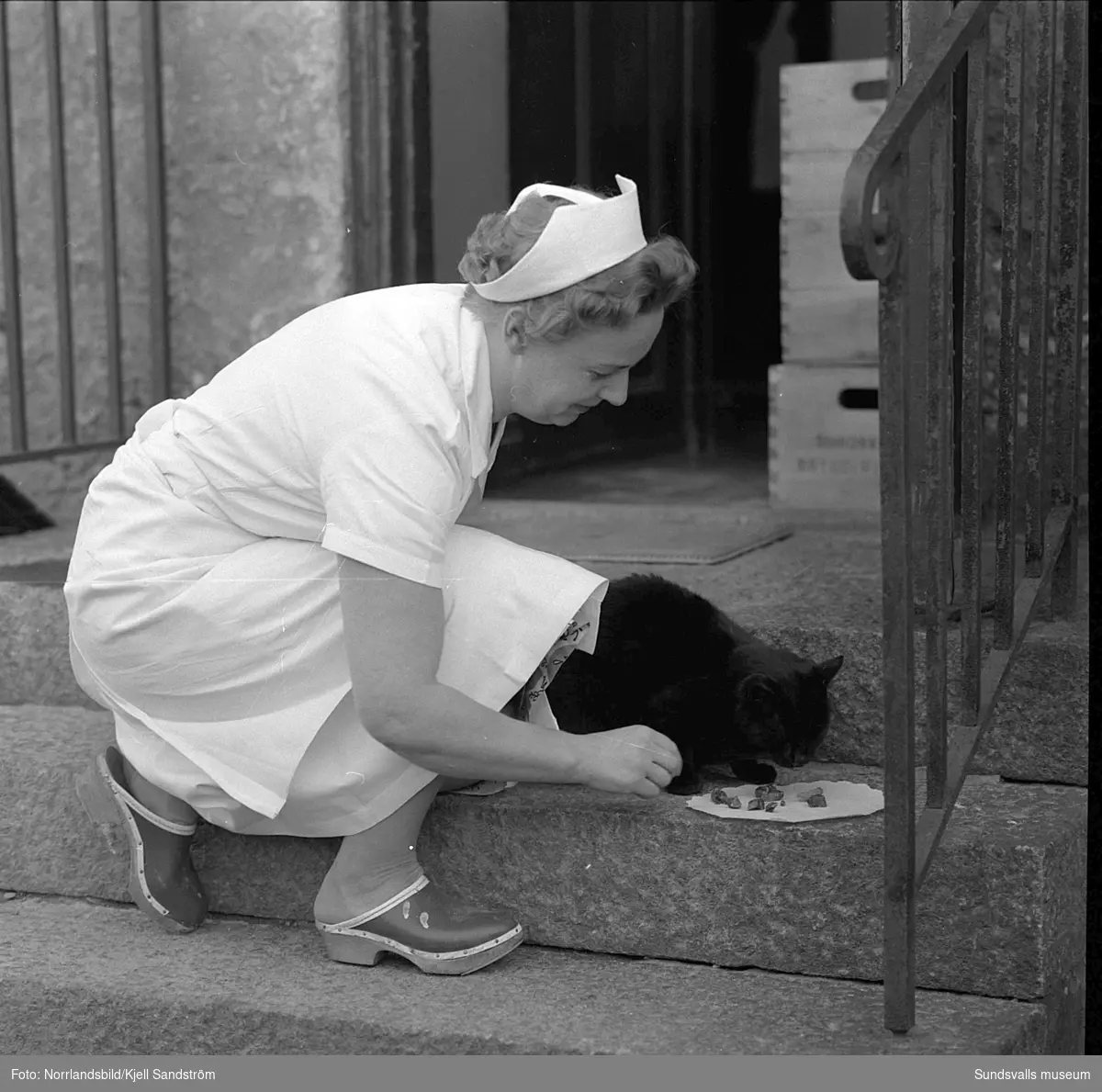 Katten Englund var en välbekant syn vid Sundsvalls centralstation under några år i slutet av 1950-talet. Den stora svarta hankatten hade på eget bevåg bosatt sig där och togs väl omhand av personalen på resgodset, utspisades i järnvägsrestaurangens kök och passade noggrant 16.55-tåget då strömmingslådorna anlände. Sitt namn fick katten av resgodspersonalen på grund av att de vid den tiden hade en kollega som hette Englund men som av någon anledning begåvas med smeknamnet "Katten".
