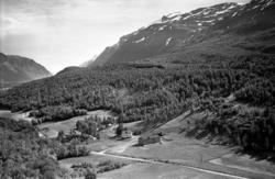 Flyfoto: Sørdalen, Karlstad i Bardu 1959
