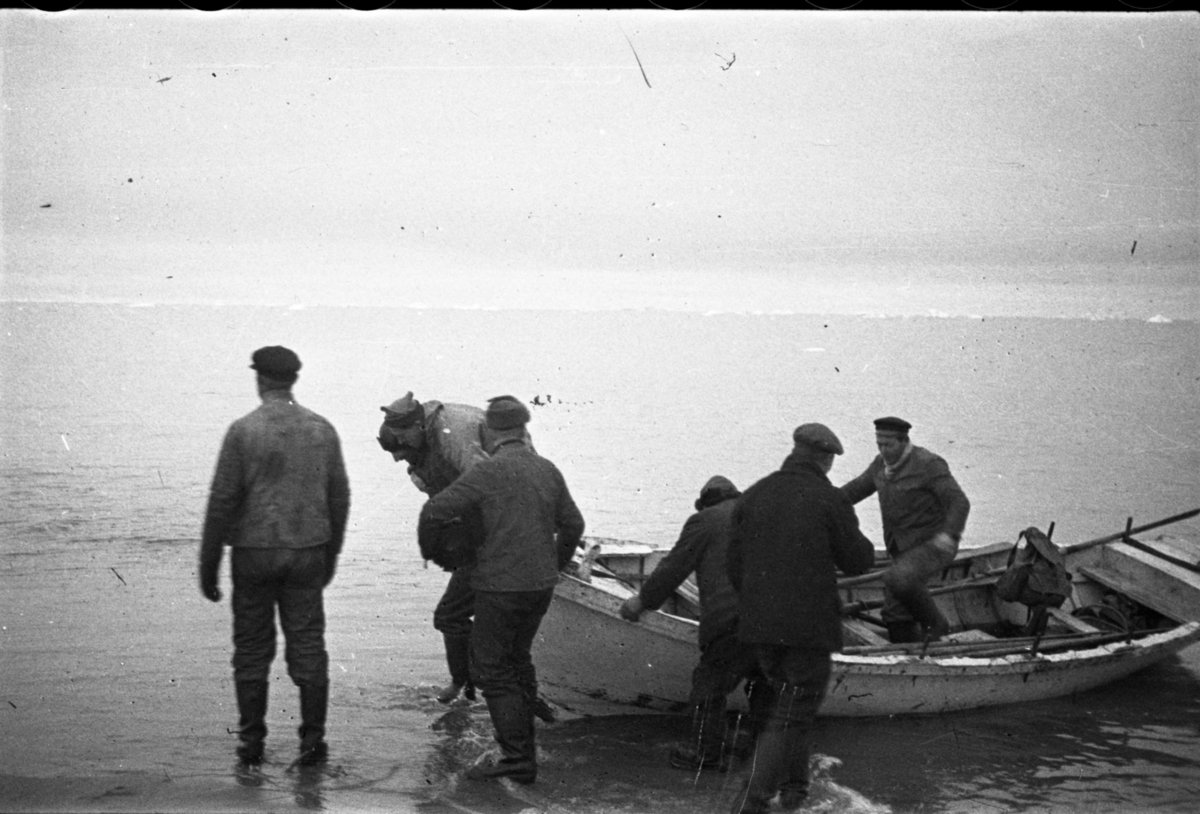 Landstigning på Vitön. Skeppare Skogvik bär Stubbendorff på ryggen.
