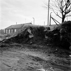 Utgraving i Olavsvollen, Sarpsborg, ant. 1958.