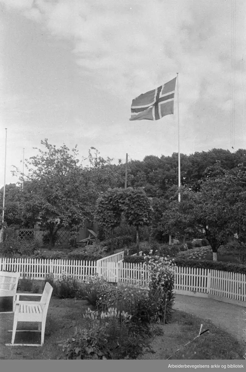 Hjemmets Kolonihage på Bjølsen.1946 - 1948