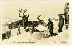 Paa toppen av Galdhöpiggen