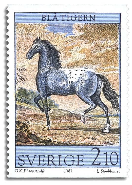 Blå Tigern (Karl XI:s häst), målning av David Klöcker-Ehrenstrahl.