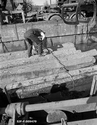 Tømmeropptak fra Bjørnstadbrygga ved Femsjøen i Halden i Øst