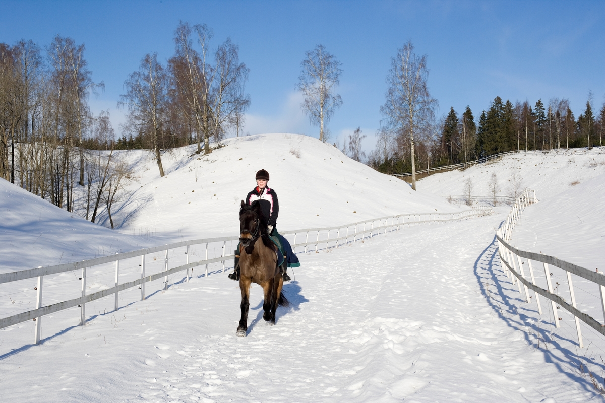 Hest og rytter i snøen
