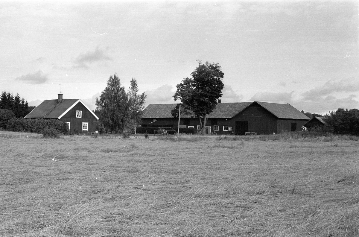 Vy över Råsta 1:3, Tensta socken, Uppland 1978