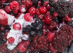 «Lune skogsbær», en av rettene som ble servert på Prestøya u