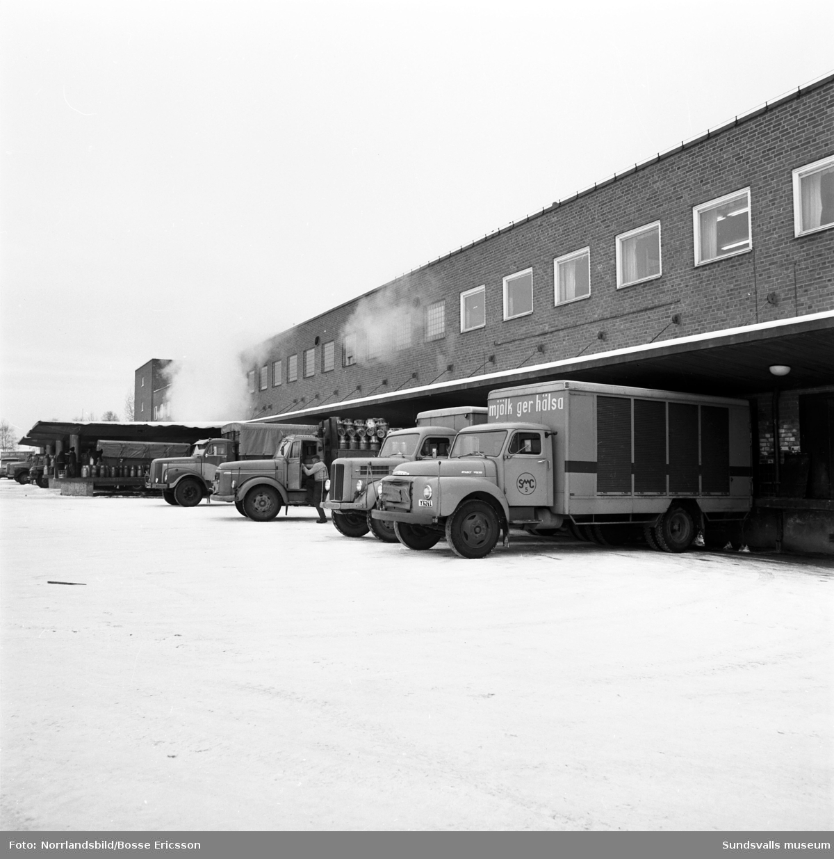 Bilder från verksamheten vid SMC:s mejeri i Nacksta. (Sundsvalls Mjölkcentral)