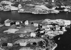 Flyfoto over en del av Flatøya.  Deler av Brattøya i bakgrun