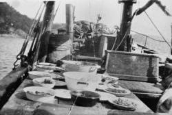 Etter middag ombord i fiskebåten "Kjellfjord" hjemmehørende 