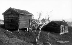 Et bilde fra Junihaugen ved Fløya (Fløya Terasse) i Kristian