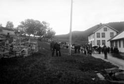 Foto av hest og kjerre langs en landevei nær bolighus en pla