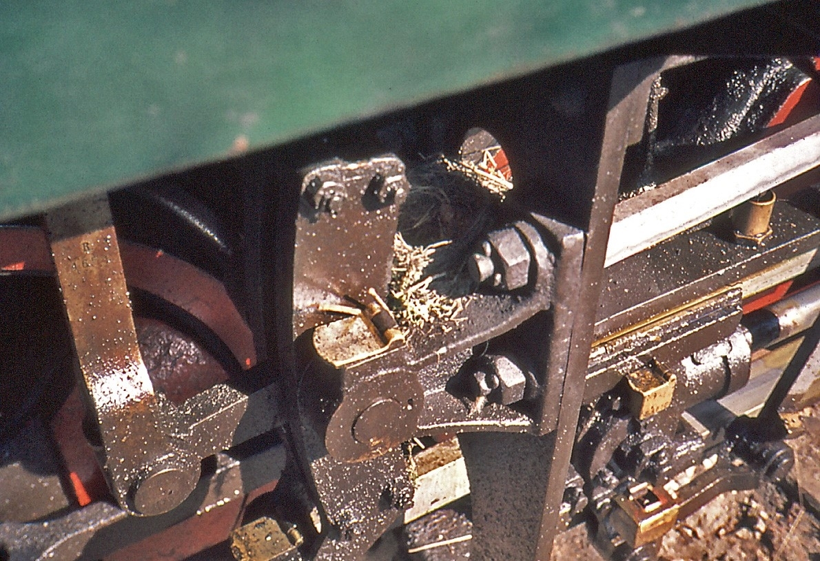 En fugl har bygget rede i maskineriet på Tertittens damplokomotiv