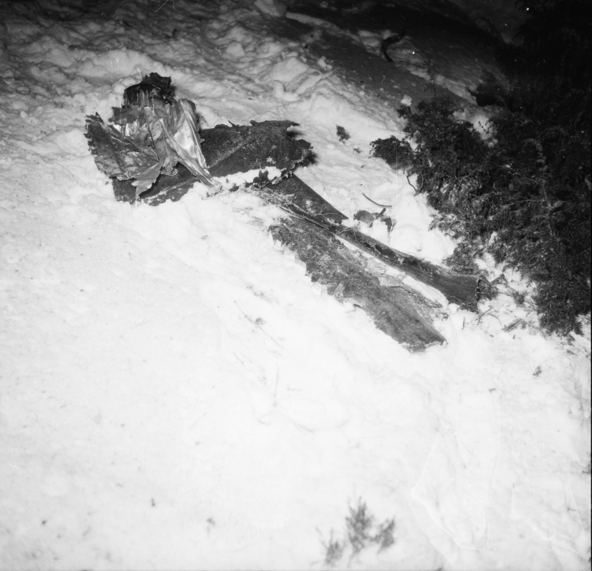 Vardens arkiv. "Fly-ulykke på Siktesøya v/Brevik. Jetfly eksploderte"  12.02.1954